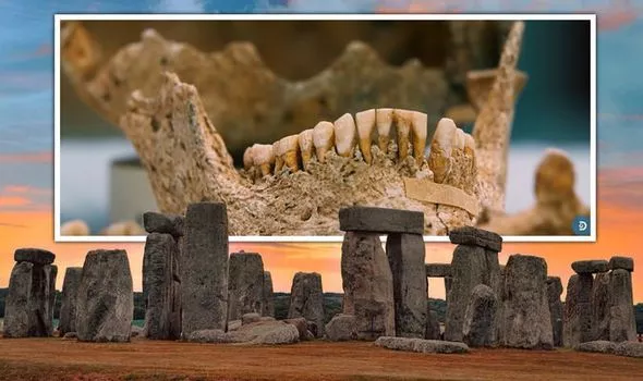 Stonehenge Biological Analysis