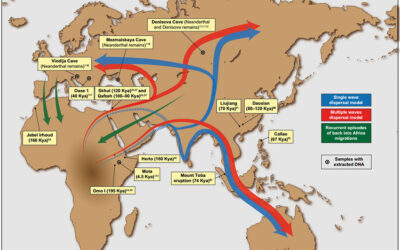 First Humans to leave Africa went to China, not Europe