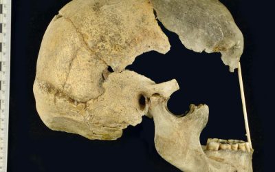 Scientists pinpoint when humans had babies with Neanderthals